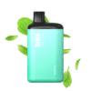 BIMO Platinum 6000 Puffs